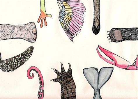 The Intriguing Realm of Animal Appendage Fantasies