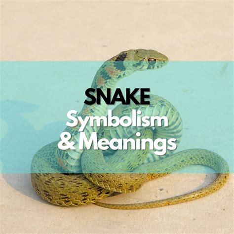 The Intriguing Significance of Snake Symbolism