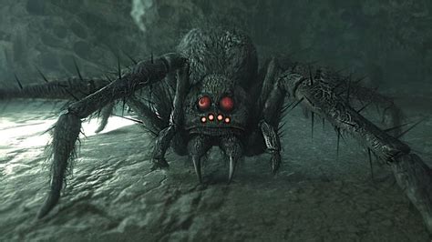 The Intriguing Universe of Arachnophobia: The Dread of Spiders in Dreams