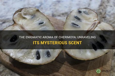 The Invisible Influence: Unraveling the Enigmatic Spell of Aroma