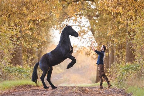 The Irresistible Appeal of Riding a Spirited Steed: An Authentic Examination of Mastery