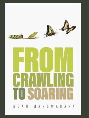 The Journey of Metamorphosis: From Crawling to Soaring