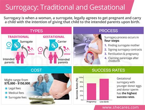 The Legal Environment Surrounding Gestational Surrogacy