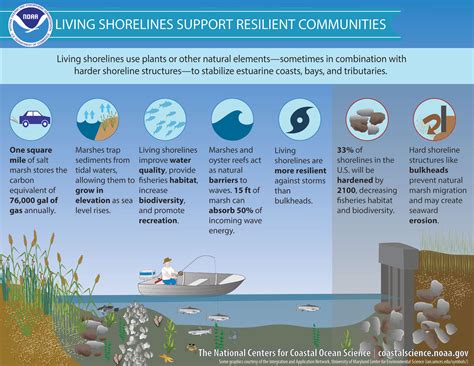 The Lessons of Fracturing Ice: Resilience and Appreciation for Nature