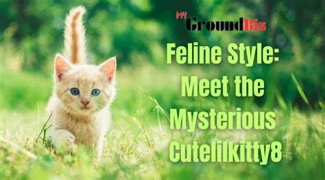 The Life Story of the mysterious Feline: Background, Physical Attributes, and Financial Status