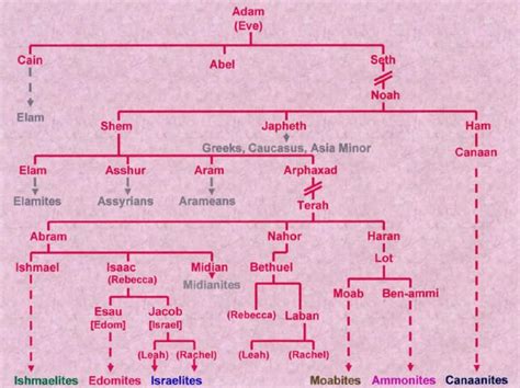 The Lineage of the Law Family