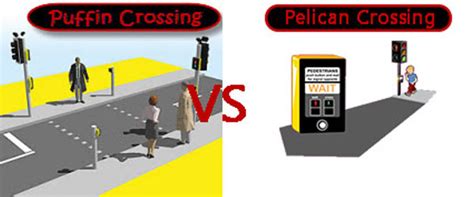 The Link Between Road Crossings and Life Challenges