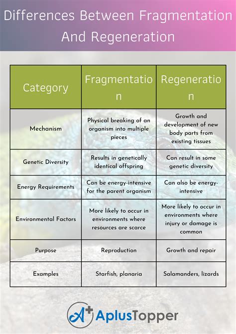 The Link Between Time Fragmentation and Personal Metamorphosis