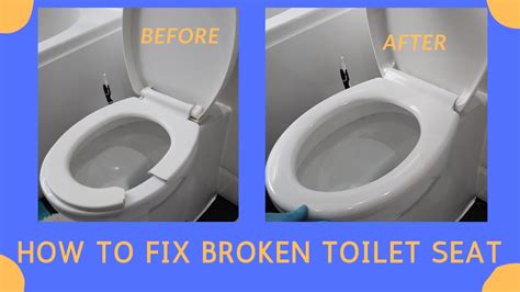 The Link between Damaged Toilet Seats and Intimate Bonds