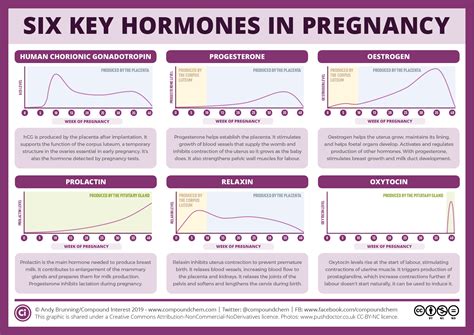 The Link between Sexual Dreams and Pregnancy Hormones