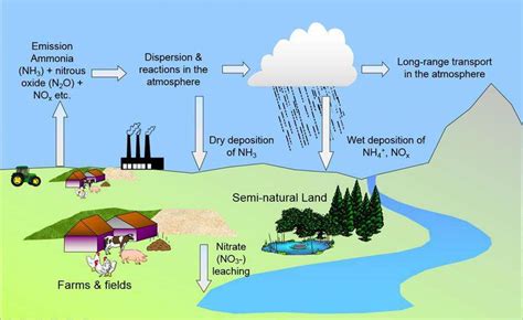 The Long-Term Effects of Ecological Contamination