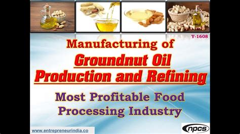 The Lucrative Market for Groundnut Products