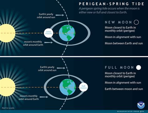 The Lunar Cycle's Influence on Dreams of Tidal Phenomena