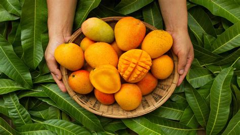 The Mango: An Exquisite Tropical Fruit with Numerous Health Benefits