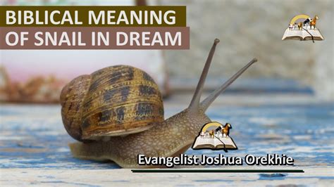 The Many Manifestations of Snails in Dreams: Deciphering the Veiled Messages