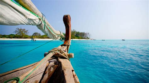 The Marvelous Marine Life of Zanzibar