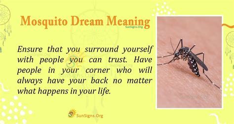 The Meaning Behind Mosquitoes in Dreams