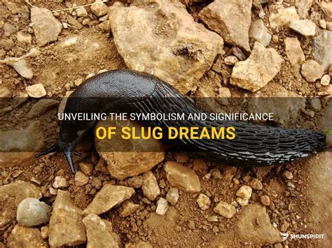 The Meaning Behind the Presence of Dark Slugs in the Interpretation of Dreams