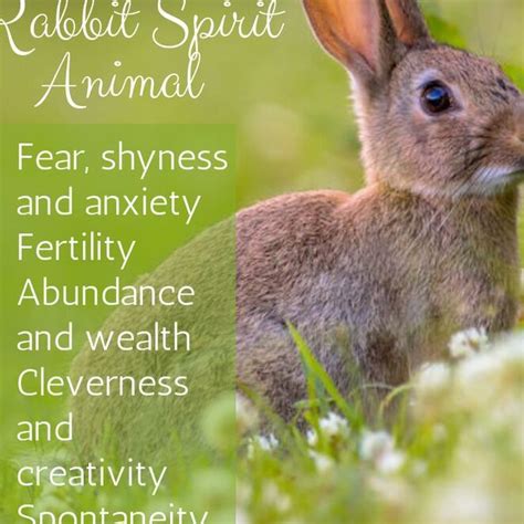 The Meaning behind Nourishing Bunnies in Reveries