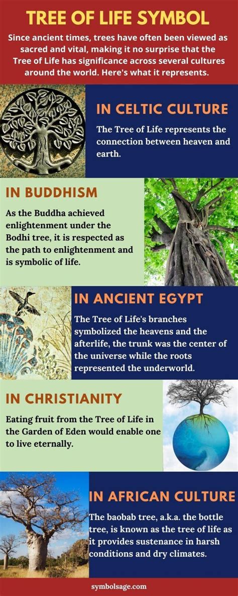 The Meaning of Descending Lifeless Trees in Various Cultural and Spiritual Traditions