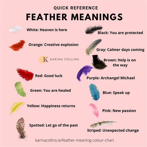 The Meaning of Feathers in the Analysis of Dreams