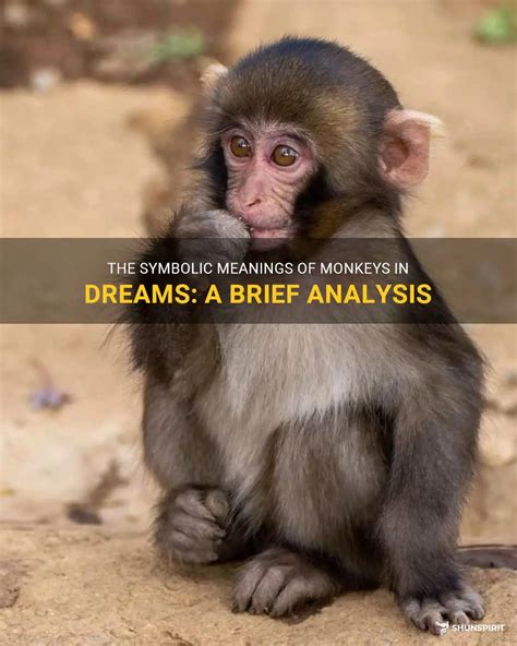 The Meaning of Monkeys in Dreams