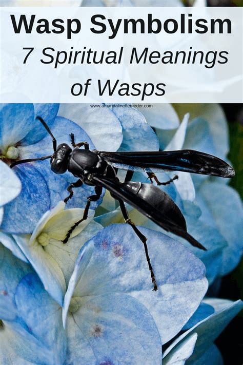 The Meaning of Wasp Stings in Dreams: Unlocking Symbolic Messages