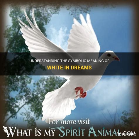 The Meaning of White in Dreams