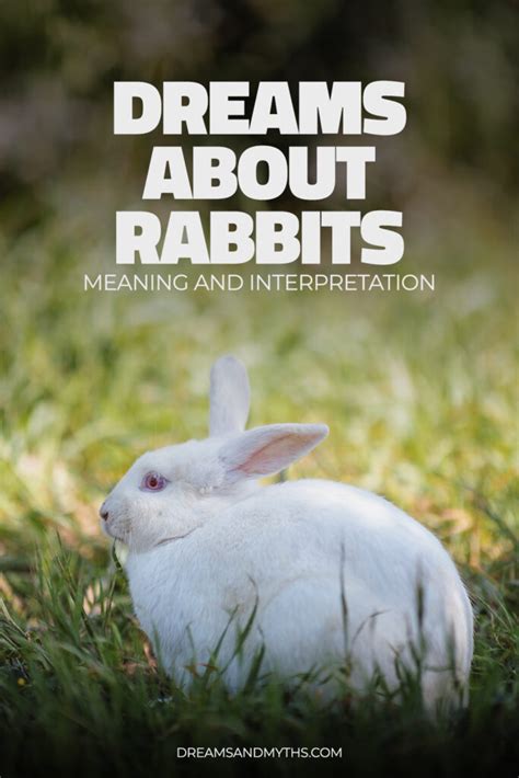 The Meaningful Significance of Dreaming about Rabbits