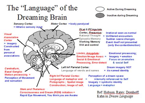 The Mechanics of Dreaming: Understanding the Brain's Role in Pursuit Imagery