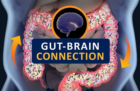 The Mind-Gut Connection: How Digestive Wellbeing Impacts Mental Health