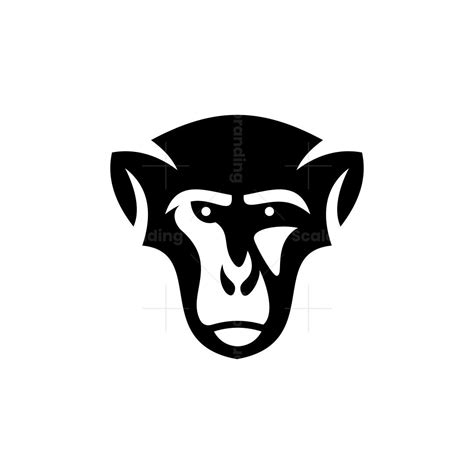 The Monkey as a Universal Symbol