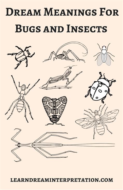 The Most Common Insect Symbols in Dream Interpretation