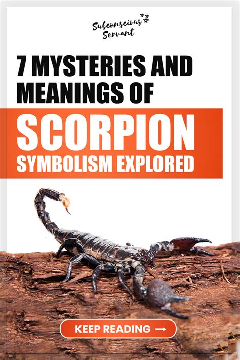 The Mysteries Behind the Symbolic Significance of Pursuing a Scorpion