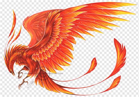 The Mysterious Powers and Exceptional Abilities Associated with the Legendary Phoenix