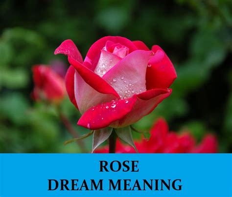 The Mysterious Significance of Dreaming about Roses and Fire