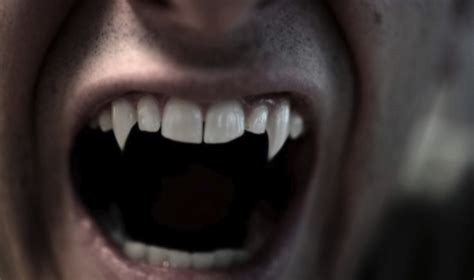 The Mystery Surrounding Vampire Fangs