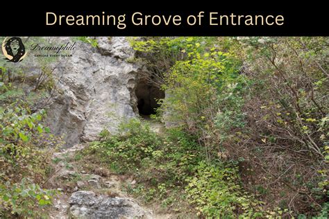 The Mystical Realm of Dreams: An Entranceway to your Inner Self