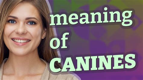 The Mystical Symbolism of Cunning Canines