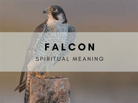 The Mystical Symbolism of Dreaming about Falcons