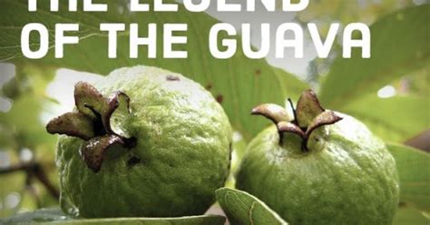 The Myths and Legends Enveloping the Ivory Guava