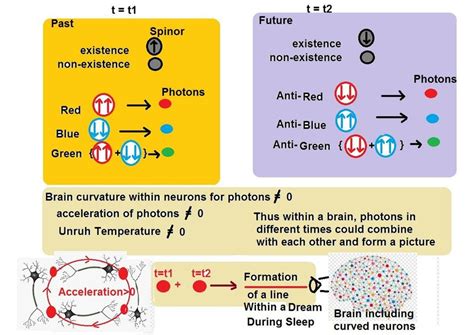 The Neurological Processes behind Dream Formation: Understanding the Formation of Mental Landscapes