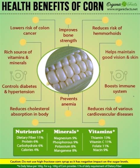 The Nutritional Benefits of White Corn: A Healthy Choice