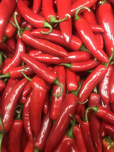 The Origins and Historical Journey of the Spicy Crimson Capsicum