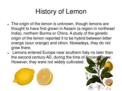 The Origins and History of Lemons