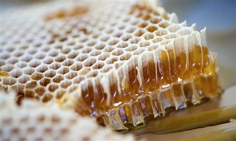 The Origins of Honey and Honeycomb