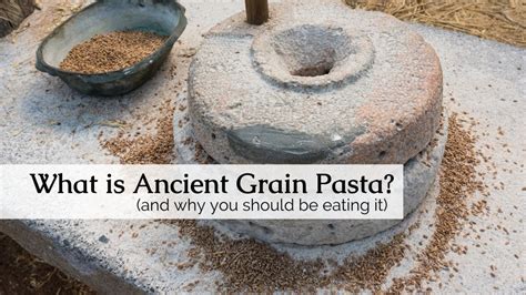 The Origins of Ivory Pasta: From Ancient Grains to Contemporary Cuisine