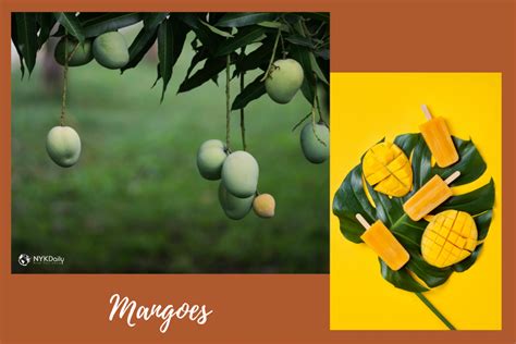 The Origins of Mango and Its Cultural Significance