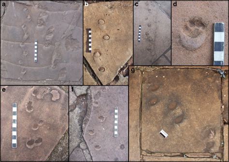 The Origins of Sidewalks: A Historical Perspective