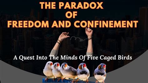 The Paradox of Freedom within Confinement